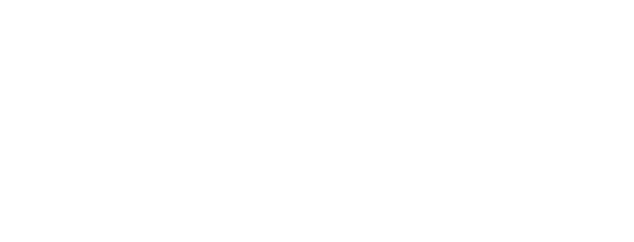 Ditrolic Energy Logo white